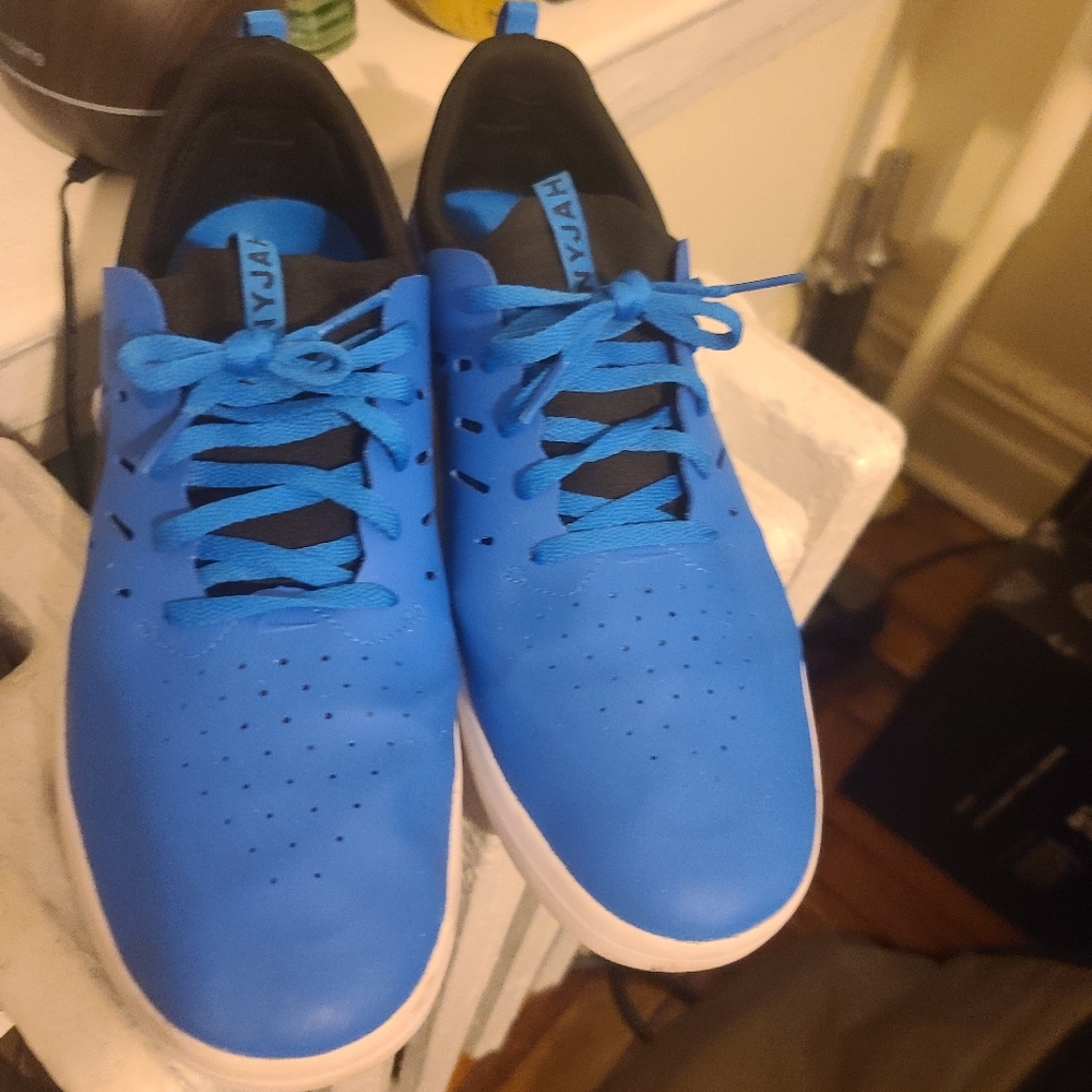 Nike SB Nyjah free